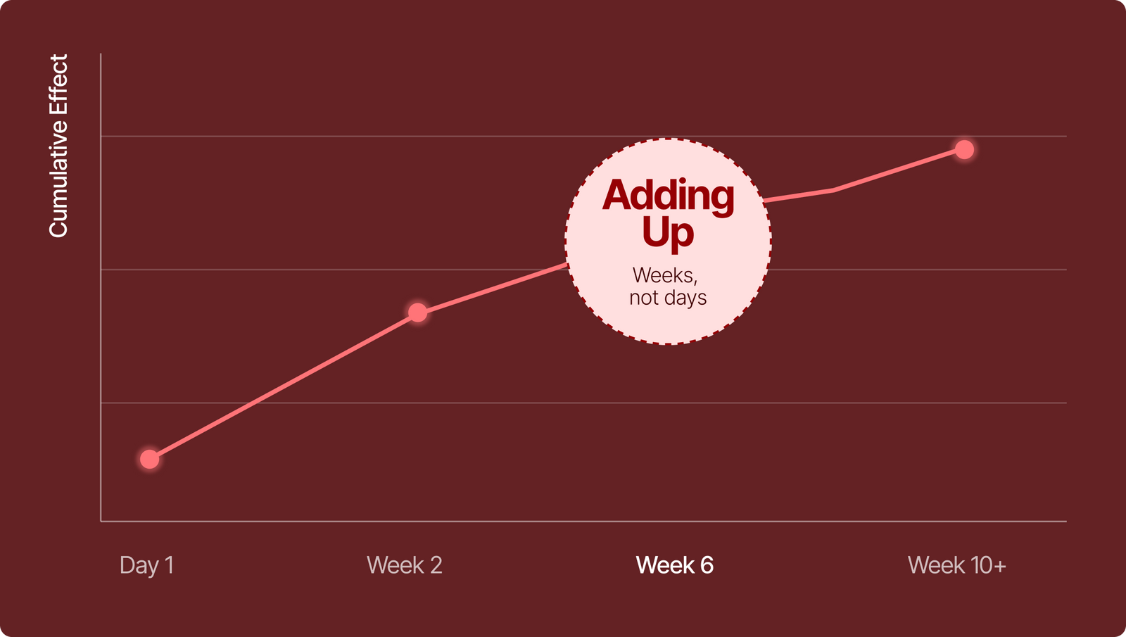 Week 6